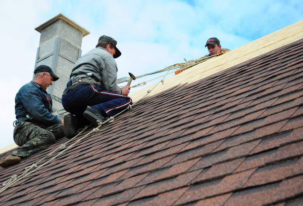 Best Roof Repair Services  in Nd Lake, WI